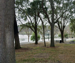 Lake Lily Park Maitland FL