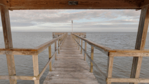 Newton Park Wintergarden, FL